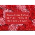 carnations's Online Memorials