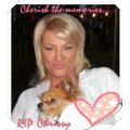 chrissy's Online Memorials